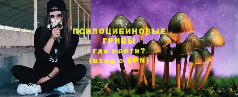 Галлюциногенные грибы Psilocybe  магазин продажи наркотиков  Гдов 